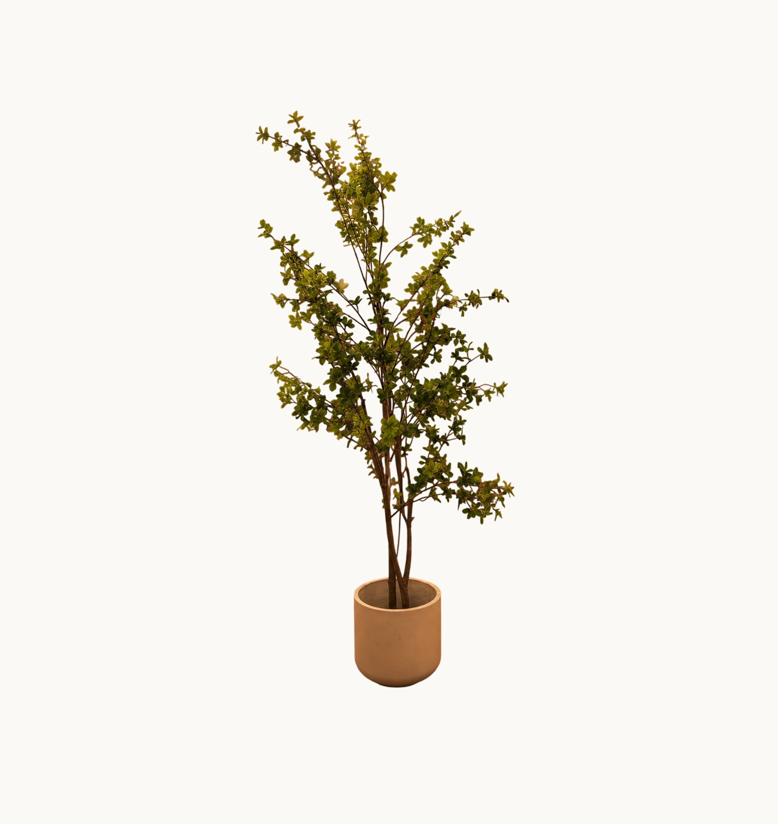 Magma leaf planter with vase